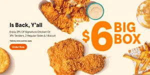 Popeyes $6 Big Box (2026): What's Included, Price, Calories & Is It Worth It?